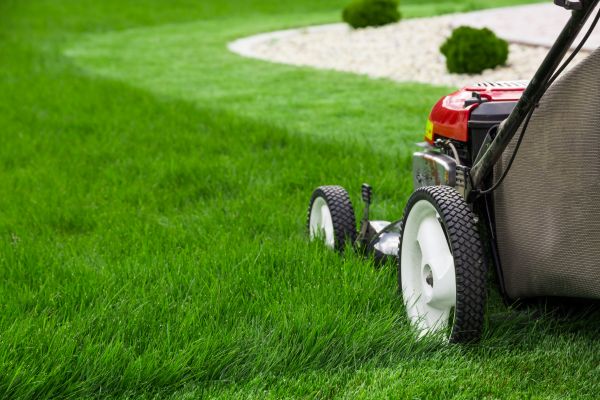 Lawn Cutting Service in Lake Mary