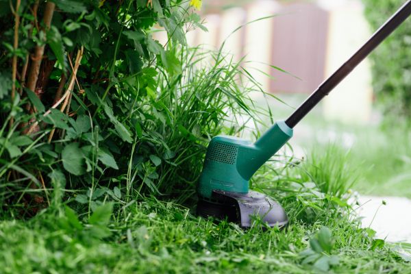 Cost of Weed Whacking in Lake Mary