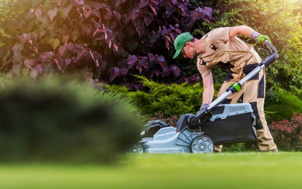 Yard Care Service in Lake Mary