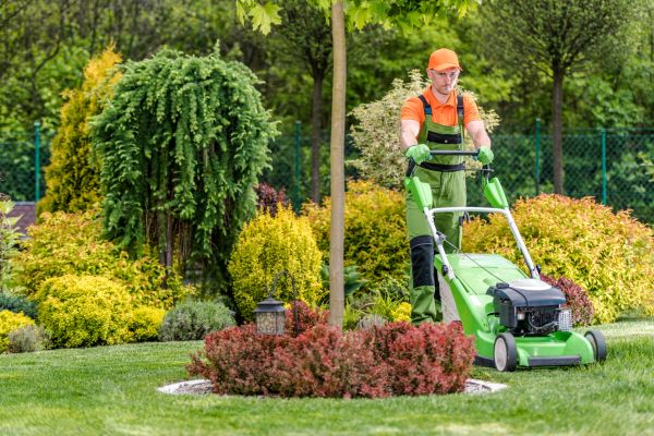 Yard Service in Lake Mary