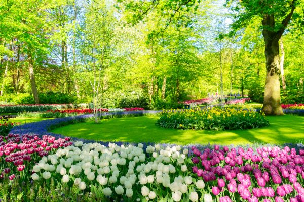 Cost of Spring Lawn Care in Lake Mary
