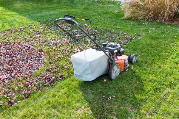 Seasonal Lawn Care in Lake Mary