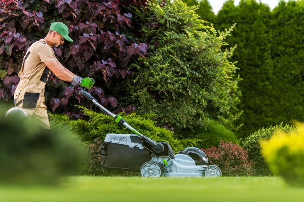 Lawn Management in Lake Mary
