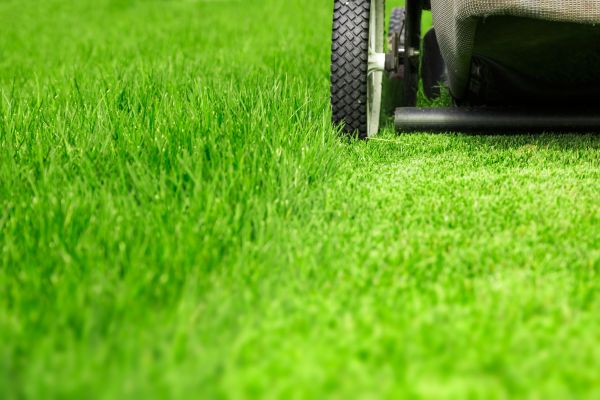 Weekly Lawn Care in Lake Mary