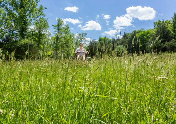 Cost of Long Grass Mowing in Lake Mary