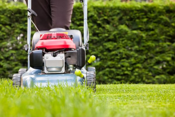 Cost of Grass Trimming Service in Lake Mary