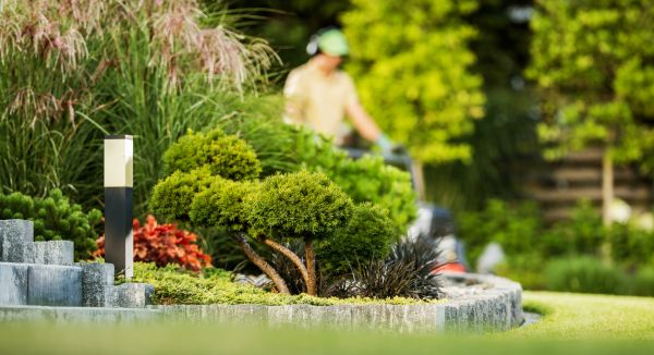 Cost of Residential Yard Maintenance in Lake Mary