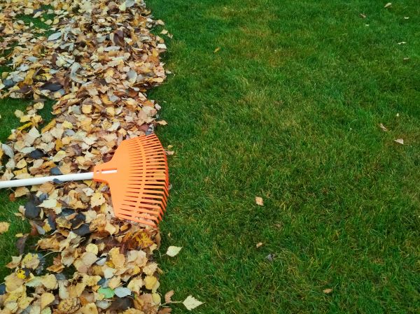 Fall Lawn Care in Lake Mary