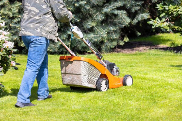 Cost of Springtime Lawn Care in Lake Mary