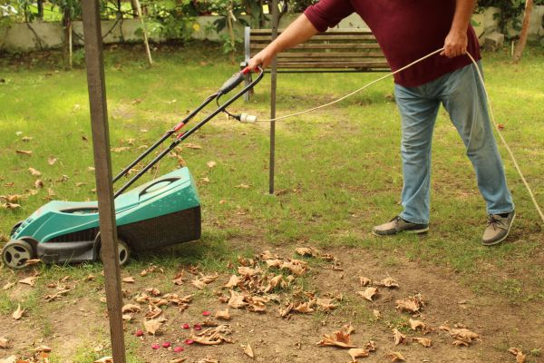 Cost of Leaves Mowing in Lake Mary