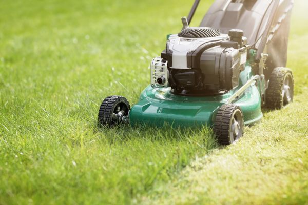 Cost of Spring Grass Trimming in Lake Mary