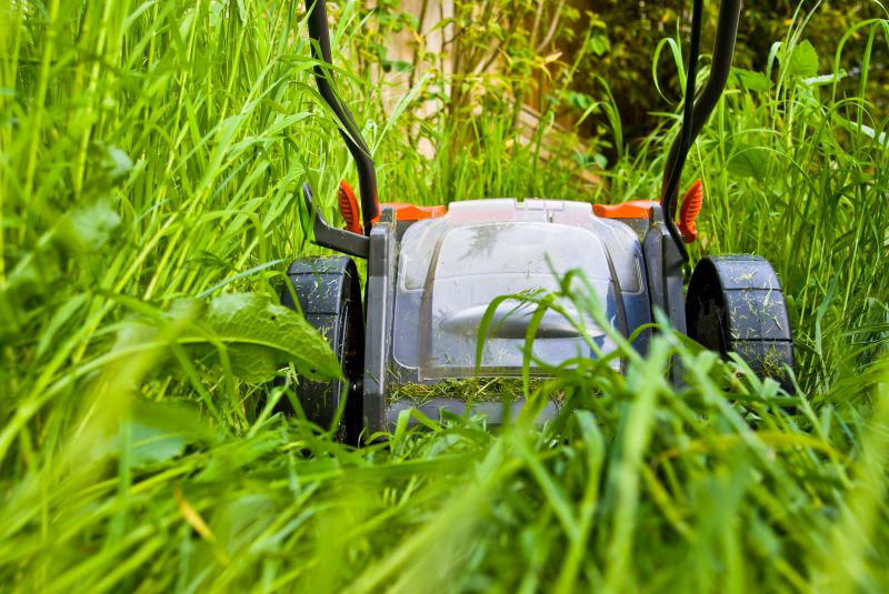 Lawn Care Service detail