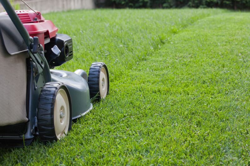 Healthy Mowed Lawn